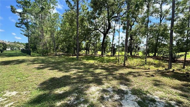 259 HICKORY COURSE RADIAL, Ocala, FL 34472