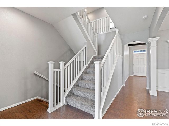 2275 Stonefish Drive, Windsor, CO 80550