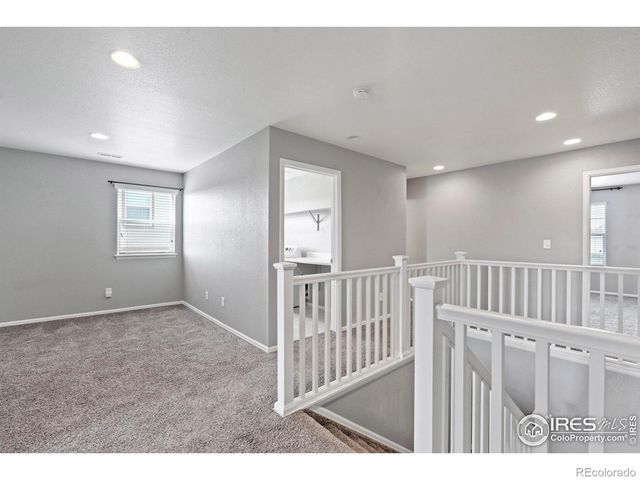 2275 Stonefish Drive, Windsor, CO 80550