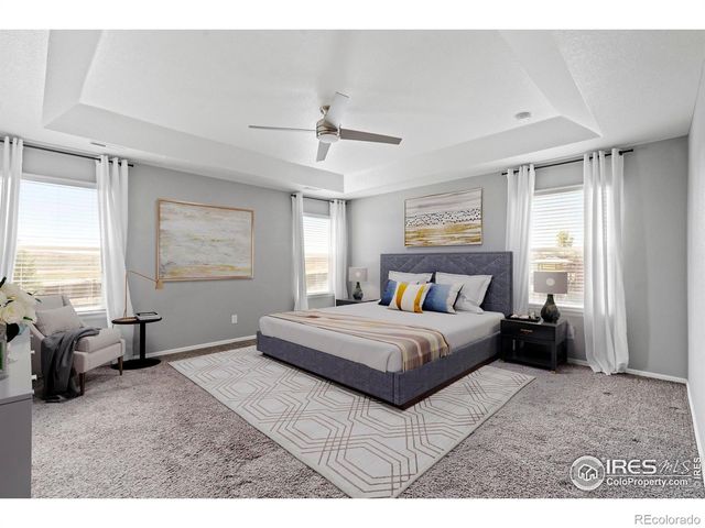 2275 Stonefish Drive, Windsor, CO 80550