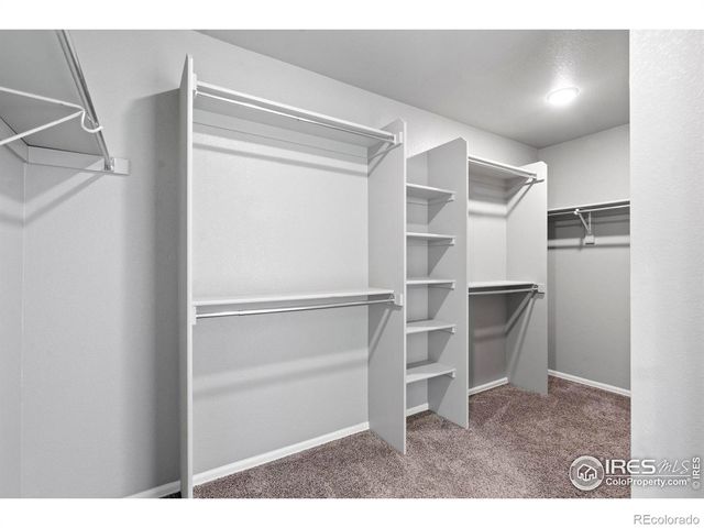 2275 Stonefish Drive, Windsor, CO 80550