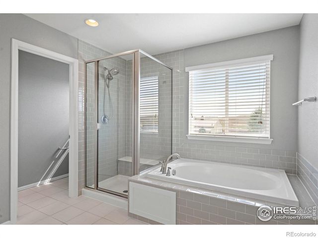 2275 Stonefish Drive, Windsor, CO 80550