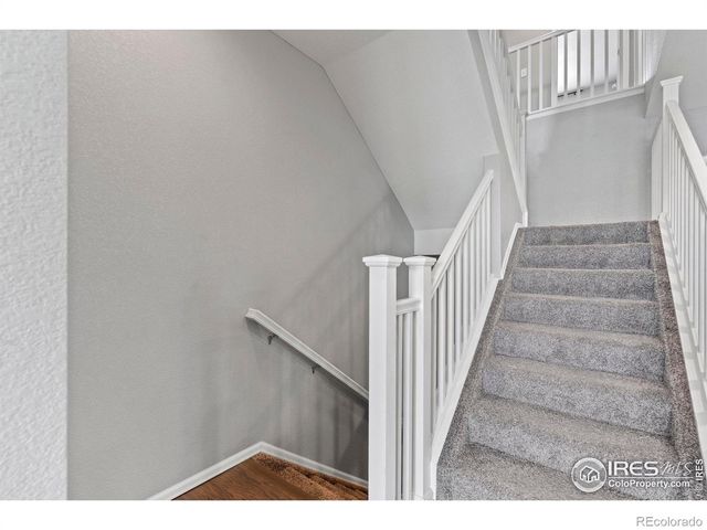 2275 Stonefish Drive, Windsor, CO 80550