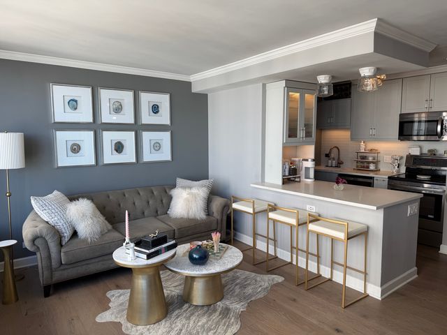 1313 N Ritchie Court 2706, Chicago, IL 60610