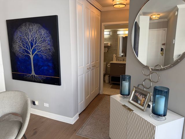 1313 N Ritchie Court 2706, Chicago, IL 60610