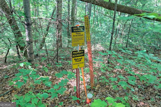 1068 Coleman River Road, Clayton, GA 30525