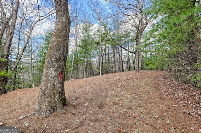 1068 Coleman River Road, Clayton, GA 30525