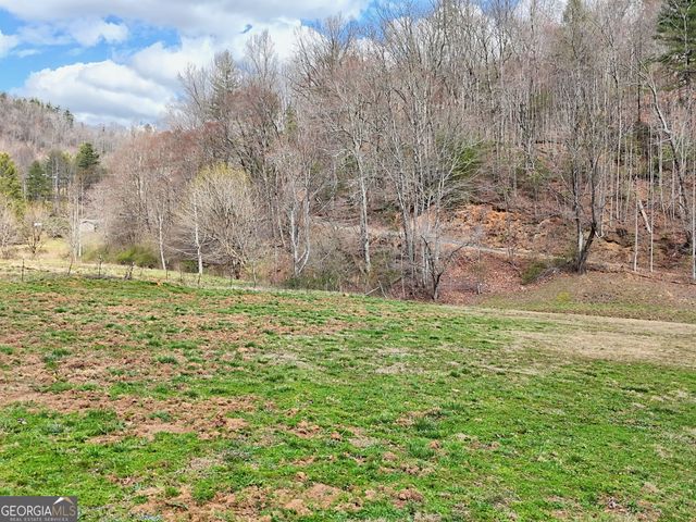 1068 Coleman River Road, Clayton, GA 30525