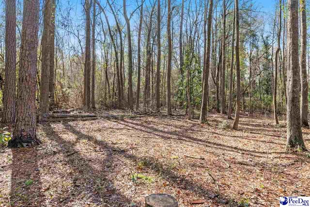 6736 Avery Lane, Florence, SC 29505