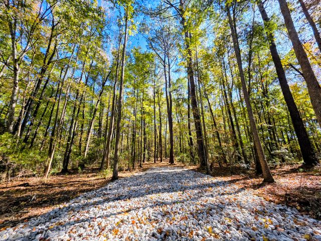 3047 Fickling Hill Road C-2, Johns Island, SC 29455