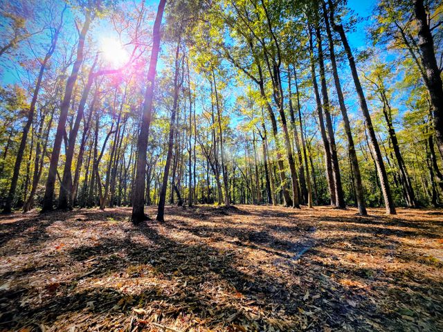 3047 Fickling Hill Road C-2, Johns Island, SC 29455