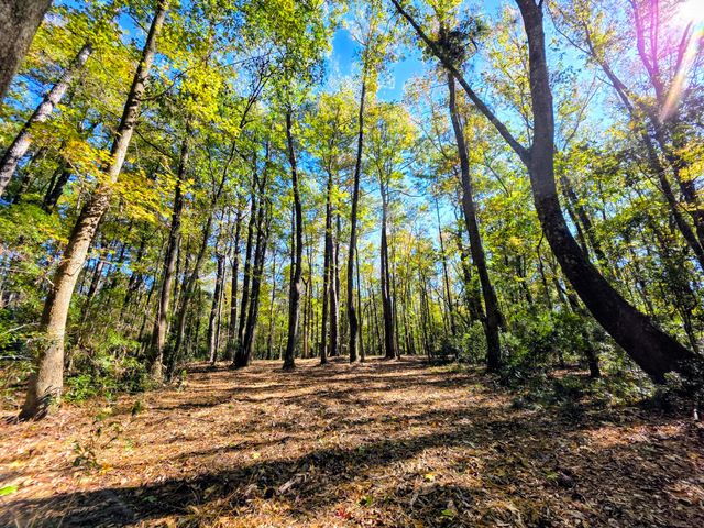 3047 Fickling Hill Road C-2, Johns Island, SC 29455