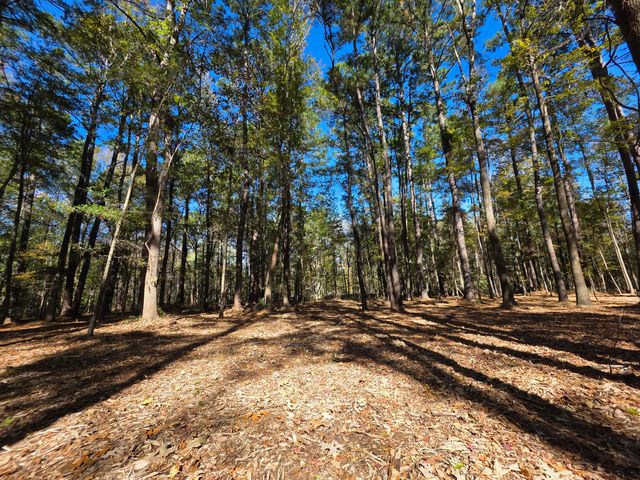 3047 Fickling Hill Road C-2, Johns Island, SC 29455