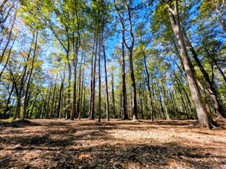 3047 Fickling Hill Road C-2, Johns Island, SC 29455