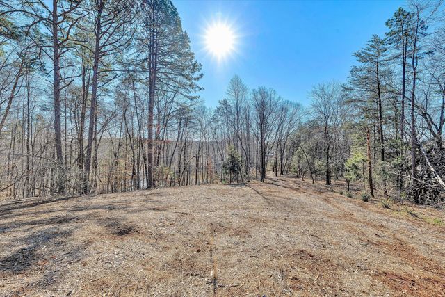 Lot 10 Bridgewater LN, Moneta, VA 24121