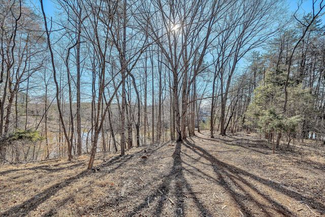 Lot 10 Bridgewater LN, Moneta, VA 24121
