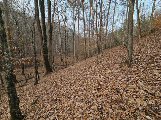 0 Garnet Drive, Ellijay, GA 30540