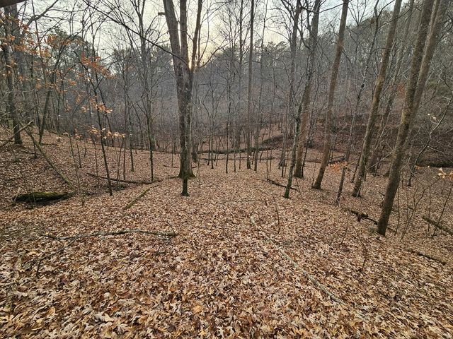 0 Garnet Drive, Ellijay, GA 30540