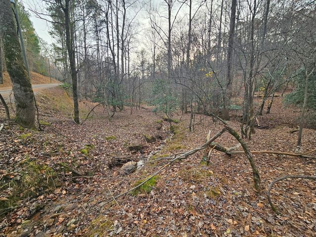 0 Garnet Drive, Ellijay, GA 30540