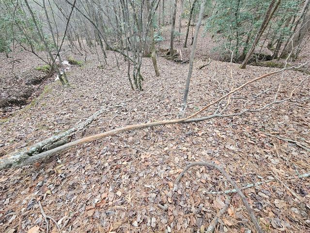 0 Garnet Drive, Ellijay, GA 30540