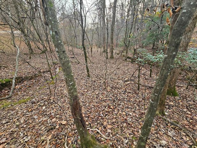 0 Garnet Drive, Ellijay, GA 30540