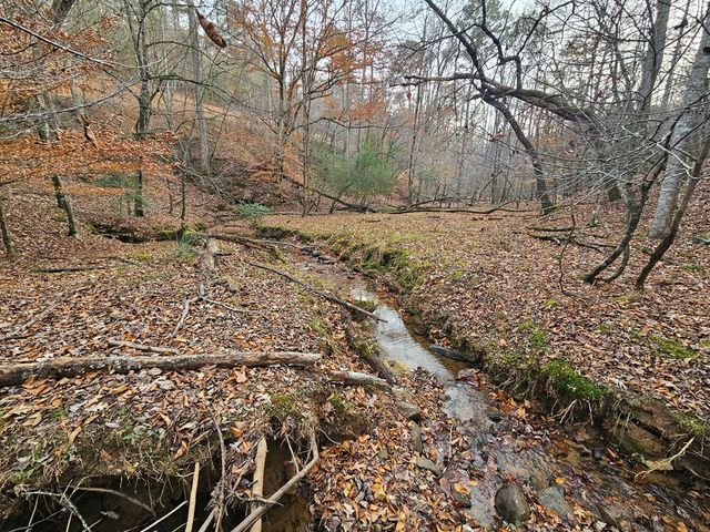 0 Garnet Drive, Ellijay, GA 30540