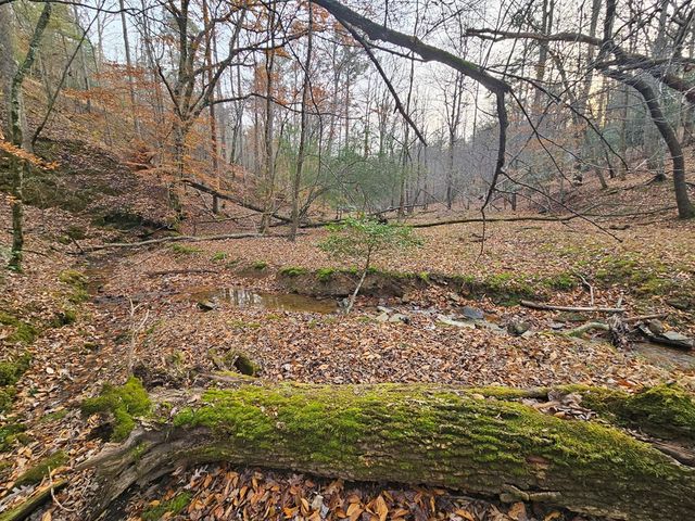 0 Garnet Drive, Ellijay, GA 30540