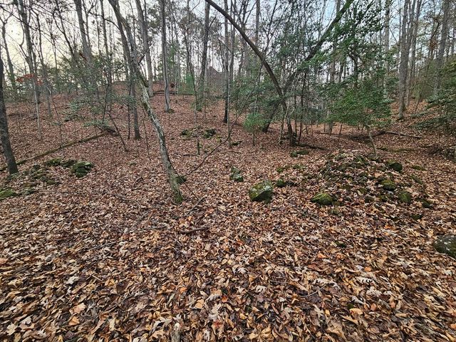 0 Garnet Drive, Ellijay, GA 30540