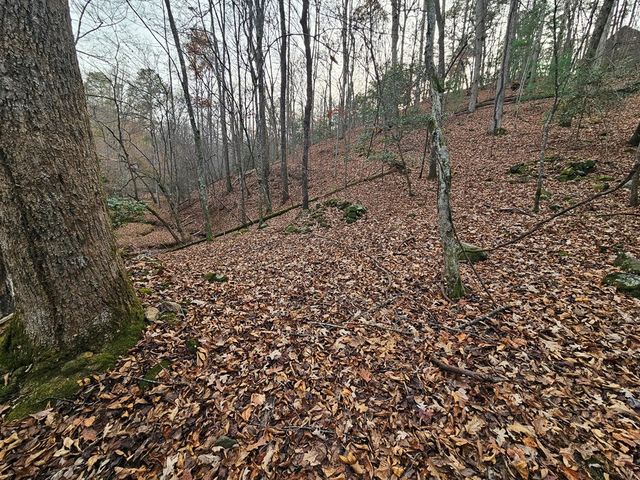 0 Garnet Drive, Ellijay, GA 30540