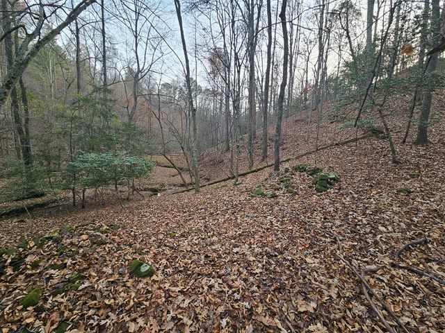 0 Garnet Drive, Ellijay, GA 30540