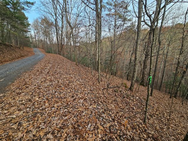 0 Garnet Drive, Ellijay, GA 30540