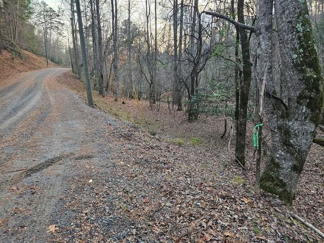 0 Garnet Drive, Ellijay, GA 30540