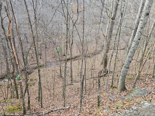 0 Garnet Drive, Ellijay, GA 30540