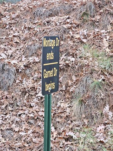 0 Garnet Drive, Ellijay, GA 30540