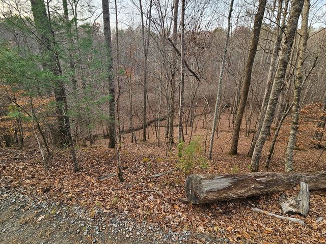 0 Garnet Drive, Ellijay, GA 30540