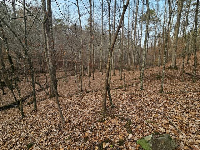 0 Garnet Drive, Ellijay, GA 30540