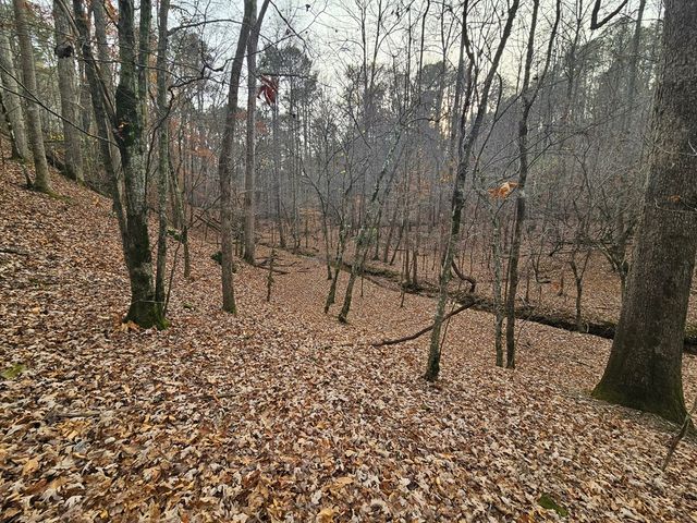 0 Garnet Drive, Ellijay, GA 30540