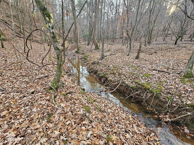 0 Garnet Drive, Ellijay, GA 30540