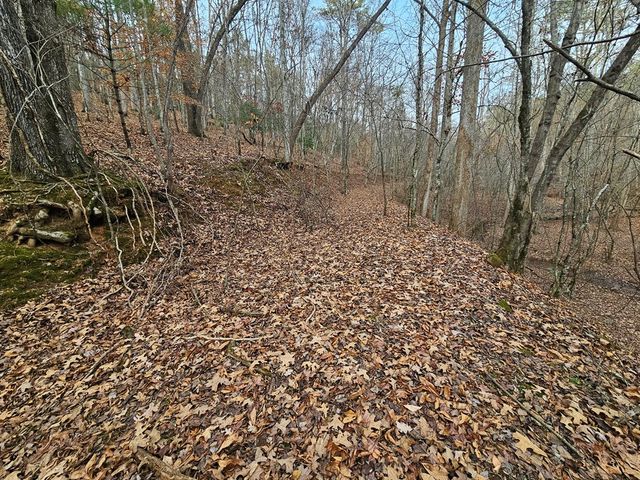 0 Garnet Drive, Ellijay, GA 30540