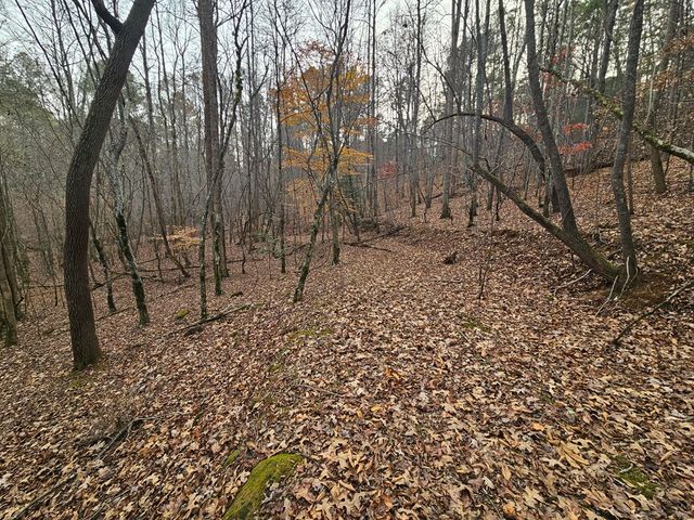 0 Garnet Drive, Ellijay, GA 30540