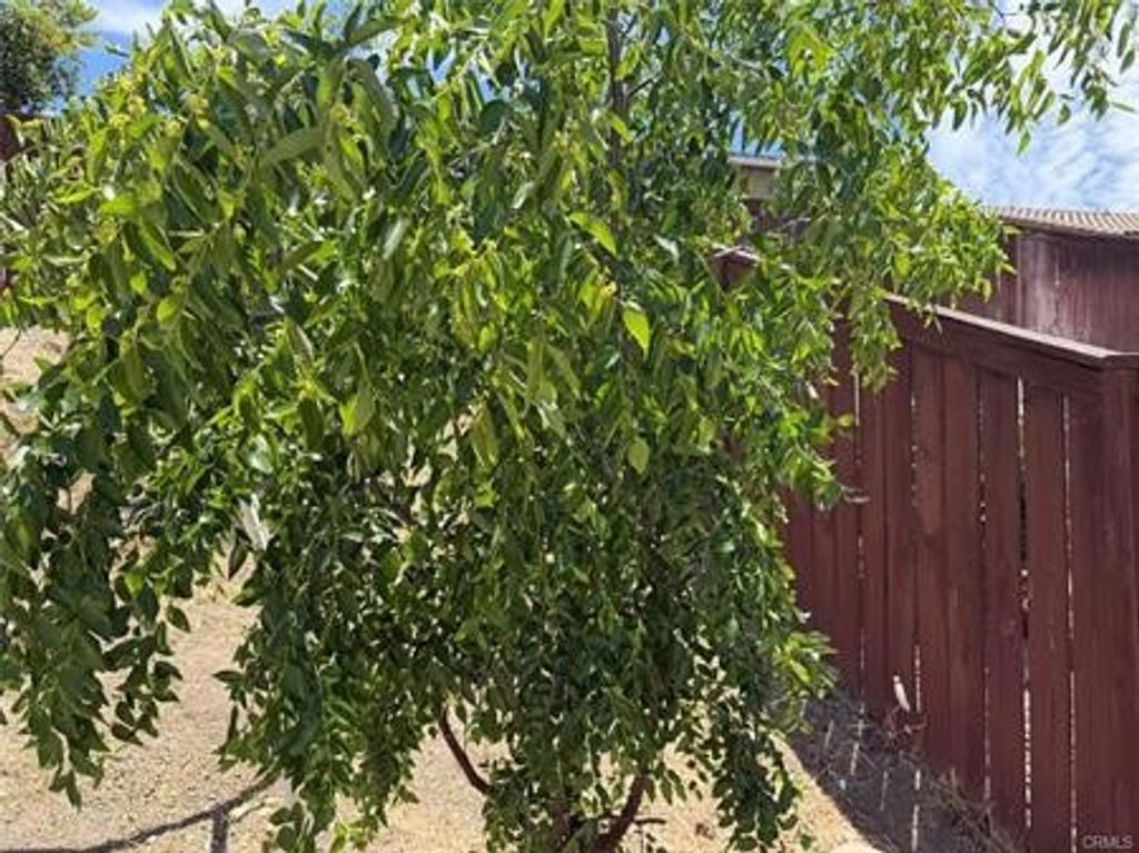 Image 24 of property listing at 29535 Hyperion, Murrieta, CA 92563