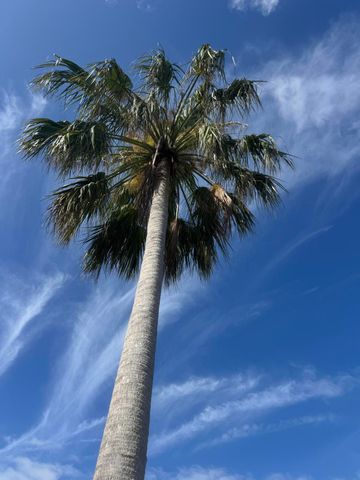 3206 S Lakeview Circle 1206, Hutchinson Island, FL 34949