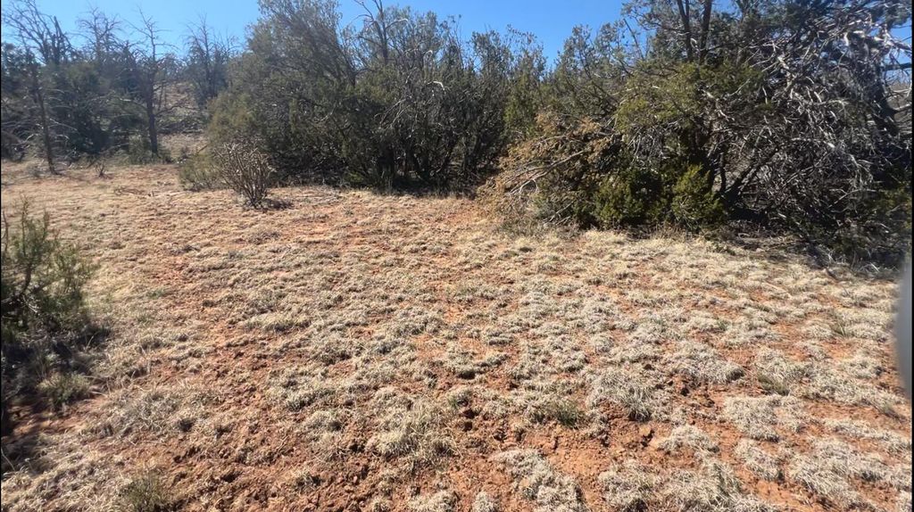 Image 13 of property listing at 63 Jennifer Drive, Sandia Park, NM 87047