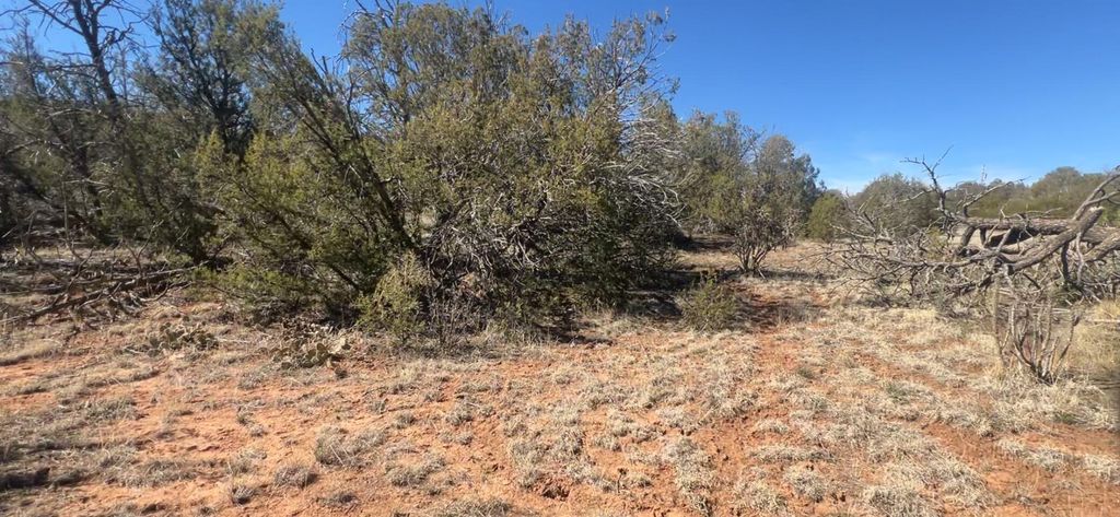 Image 15 of property listing at 63 Jennifer Drive, Sandia Park, NM 87047