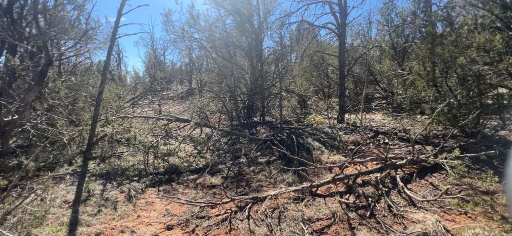 Image 16 of property listing at 63 Jennifer Drive, Sandia Park, NM 87047