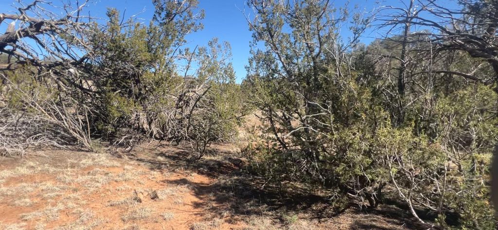 Image 17 of property listing at 63 Jennifer Drive, Sandia Park, NM 87047