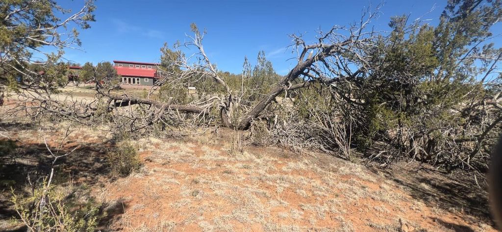 Image 18 of property listing at 63 Jennifer Drive, Sandia Park, NM 87047