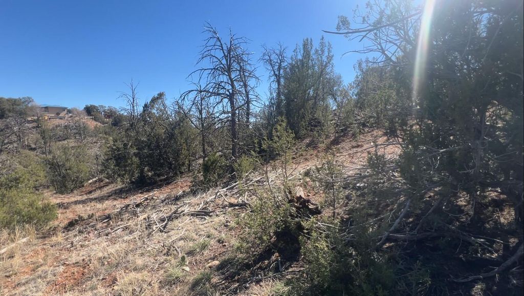 Image 19 of property listing at 63 Jennifer Drive, Sandia Park, NM 87047