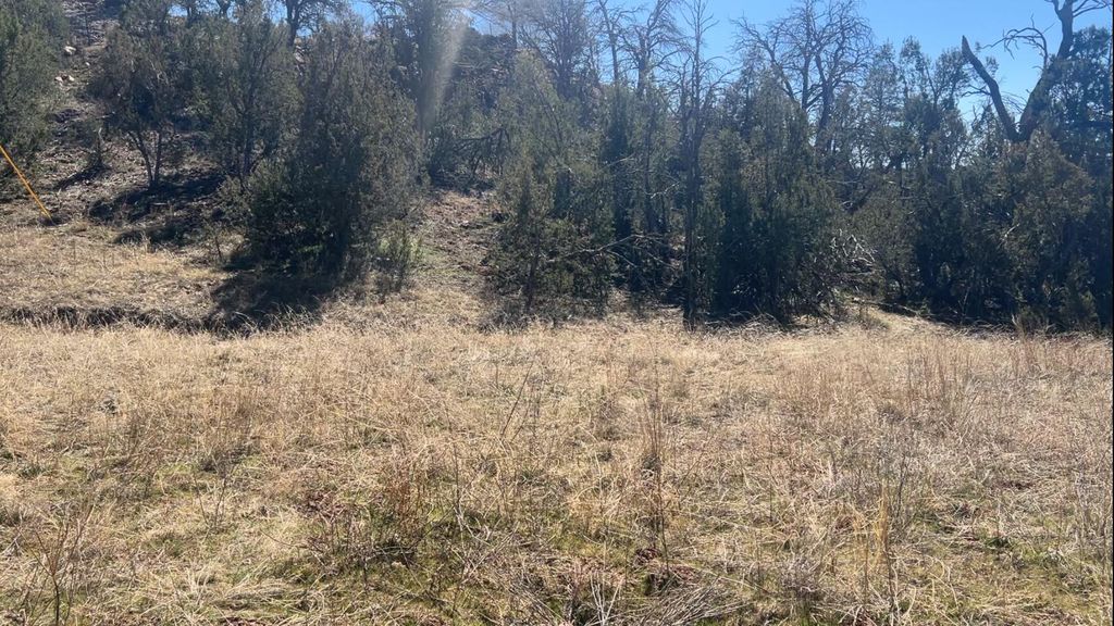 Image 2 of property listing at 63 Jennifer Drive, Sandia Park, NM 87047