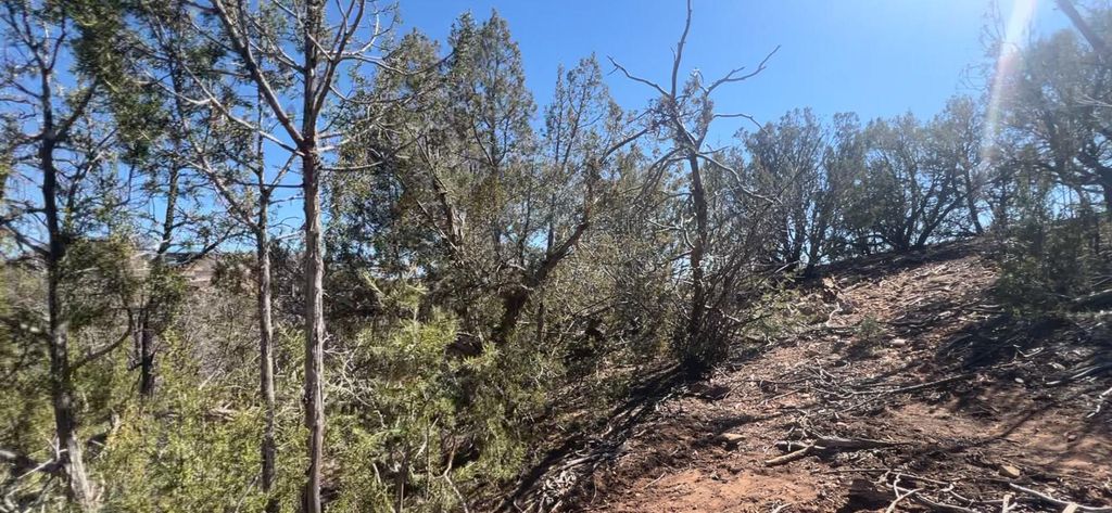 Image 21 of property listing at 63 Jennifer Drive, Sandia Park, NM 87047